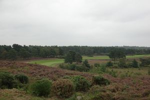 Sunningdale (New) 6th Tee